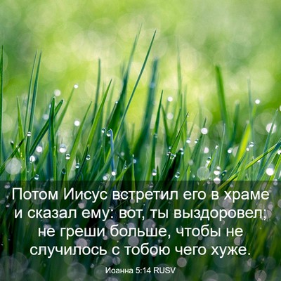 Picture 03 - Иоанна 5:14 RUSV - Потом Иисус встретил его в - Bible Verse Picture