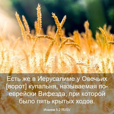 Picture 03 - Иоанна 5:2 RUSV - Есть же в Иерусалиме у - Bible Verse Picture