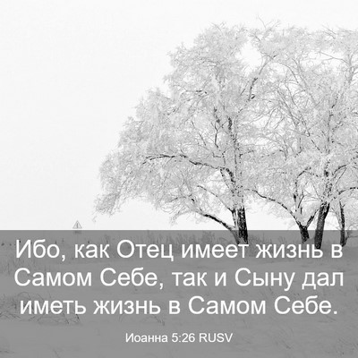 Picture 03 - Иоанна 5:26 RUSV - Ибо, как Отец имеет жизнь в - Bible Verse Picture