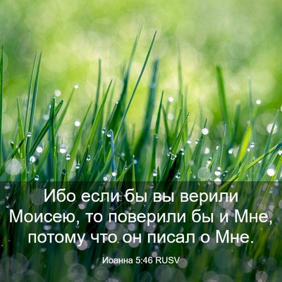 Picture 03 - Иоанна 5:46 RUSV - Ибо если бы вы верили - Bible Verse Picture