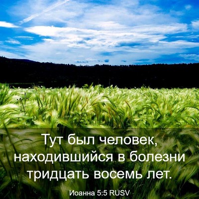 Picture 03 - Иоанна 5:5 RUSV - Тут был человек, - Bible Verse Picture