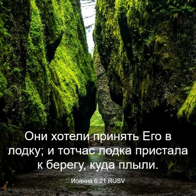 Picture 03 - Иоанна 6:21 RUSV - Они хотели принять Его в - Bible Verse Picture