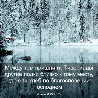 Picture 03 - Иоанна 6:23 RUSV - Между тем пришли из - Bible Verse Picture