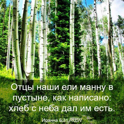 Picture 03 - Иоанна 6:31 RUSV - Отцы наши ели манну в - Bible Verse Picture