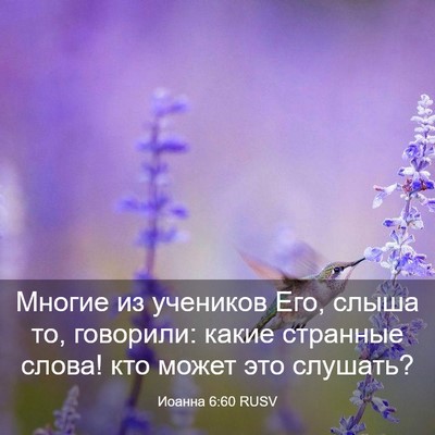 Picture 03 - Иоанна 6:60 RUSV - Многие из учеников Его, - Bible Verse Picture