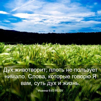 Picture 03 - Иоанна 6:63 RUSV - Дух животворит; плоть не - Bible Verse Picture