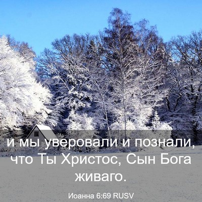 Picture 03 - Иоанна 6:69 RUSV - и мы уверовали и познали, - Bible Verse Picture