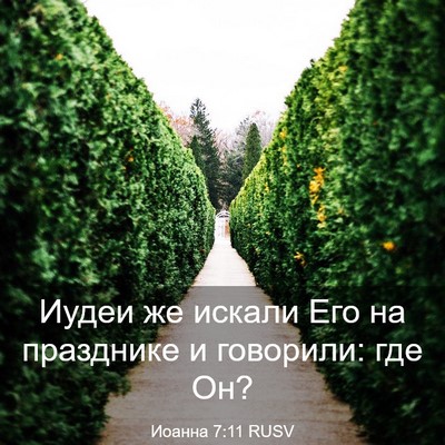 Picture 03 - Иоанна 7:11 RUSV - Иудеи же искали Его на - Bible Verse Picture