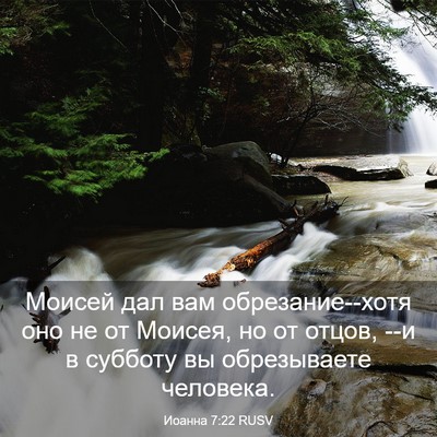 Picture 03 - Иоанна 7:22 RUSV - Моисей дал вам - Bible Verse Picture