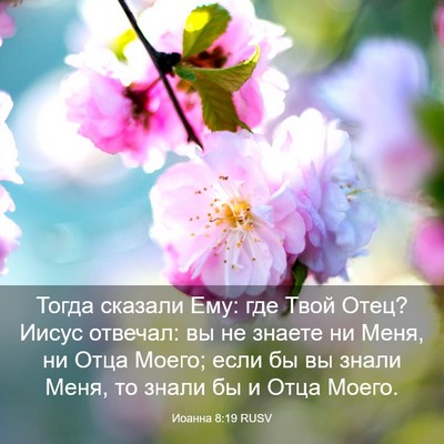 Picture 03 - Иоанна 8:19 RUSV - Тогда сказали Ему: где Твой - Bible Verse Picture