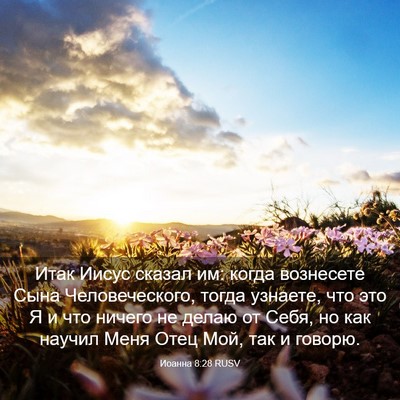 Picture 03 - Иоанна 8:28 RUSV - Итак Иисус сказал им: когда - Bible Verse Picture
