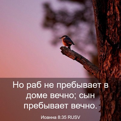 Picture 03 - Иоанна 8:35 RUSV - Но раб не пребывает в доме - Bible Verse Picture