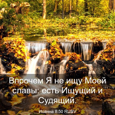 Picture 03 - Иоанна 8:50 RUSV - Впрочем Я не ищу Моей - Bible Verse Picture
