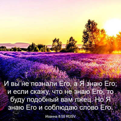 Picture 03 - Иоанна 8:55 RUSV - И вы не познали Его, а Я - Bible Verse Picture