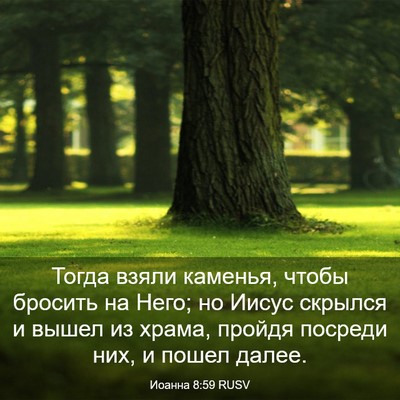 Picture 03 - Иоанна 8:59 RUSV - Тогда взяли каменья, чтобы - Bible Verse Picture
