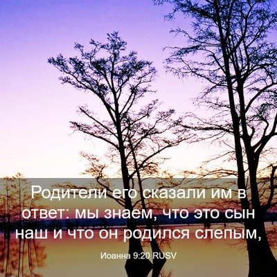Picture 03 - Иоанна 9:20 RUSV - Родители его сказали им в - Bible Verse Picture