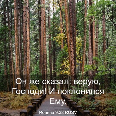 Picture 03 - Иоанна 9:38 RUSV - Он же сказал: верую, - Bible Verse Picture