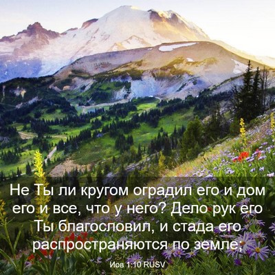 Picture 03 - Иов 1:10 RUSV - Не Ты ли кругом оградил его - Bible Verse Picture