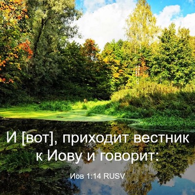 Picture 03 - Иов 1:14 RUSV - И [вот], приходит вестник к - Bible Verse Picture
