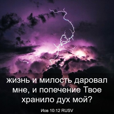 Picture 03 - Иов 10:12 RUSV - жизнь и милость даровал - Bible Verse Picture