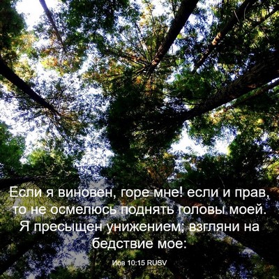 Picture 03 - Иов 10:15 RUSV - Если я виновен, горе мне! - Bible Verse Picture