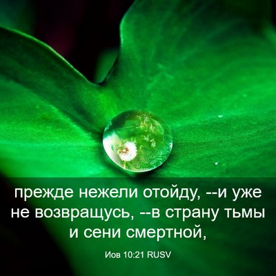 Picture 03 - Иов 10:21 RUSV - прежде нежели отойду, --и - Bible Verse Picture