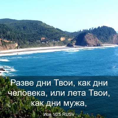 Picture 03 - Иов 10:5 RUSV - Разве дни Твои, как дни - Bible Verse Picture