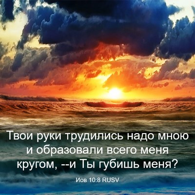 Picture 03 - Иов 10:8 RUSV - Твои руки трудились надо - Bible Verse Picture