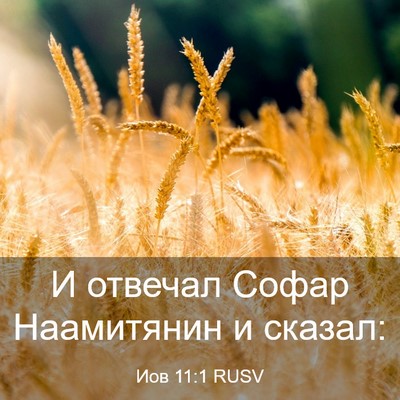 Picture 03 - Иов 11:1 RUSV - И отвечал Софар Наамитянин - Bible Verse Picture