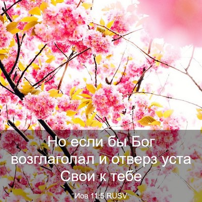 Picture 03 - Иов 11:5 RUSV - Но если бы Бог возглаголал - Bible Verse Picture