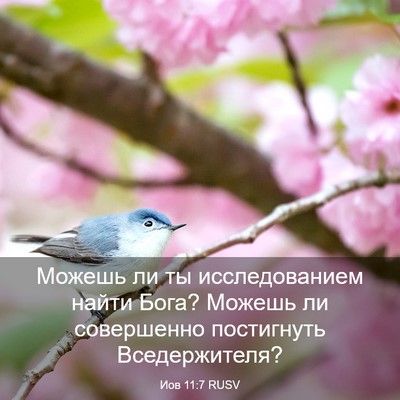 Picture 03 - Иов 11:7 RUSV - Можешь ли ты исследованием - Bible Verse Picture