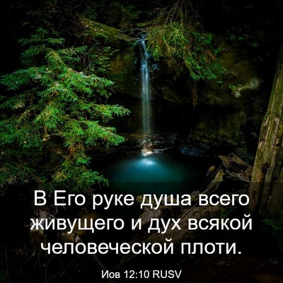 Picture 03 - Иов 12:10 RUSV - В Его руке душа всего - Bible Verse Picture