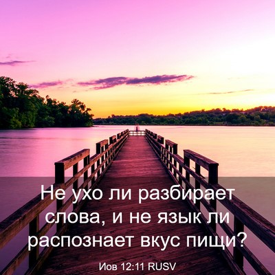 Picture 03 - Иов 12:11 RUSV - Не ухо ли разбирает слова, - Bible Verse Picture