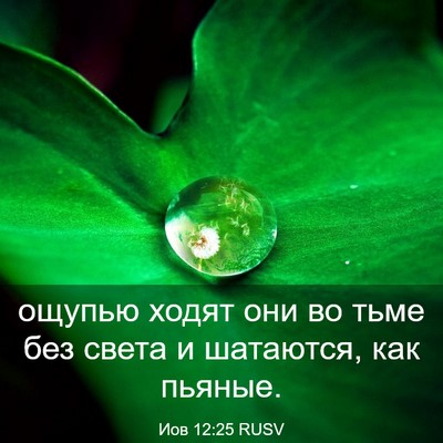 Picture 03 - Иов 12:25 RUSV - ощупью ходят они во тьме - Bible Verse Picture