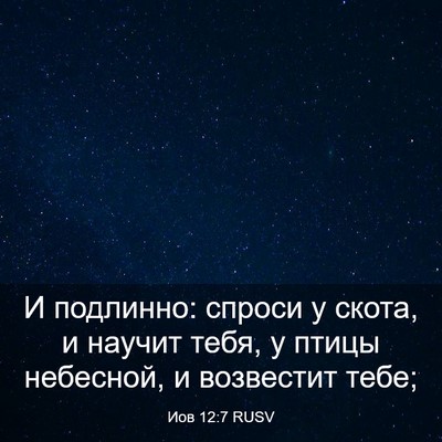 Picture 03 - Иов 12:7 RUSV - И подлинно: спроси у скота, - Bible Verse Picture
