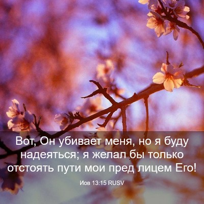 Picture 03 - Иов 13:15 RUSV - Вот, Он убивает меня, но я - Bible Verse Picture