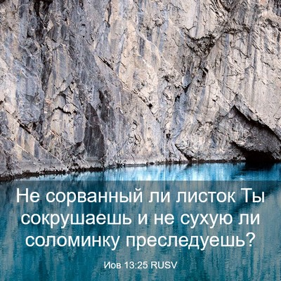Picture 03 - Иов 13:25 RUSV - Не сорванный ли листок Ты - Bible Verse Picture