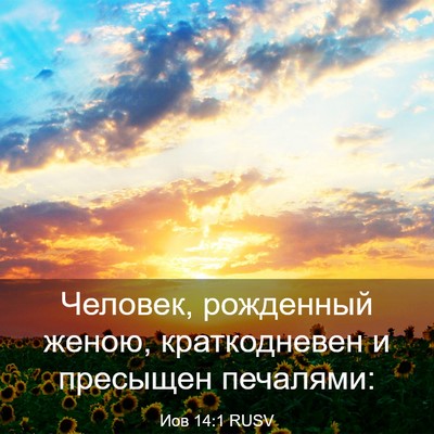 Picture 03 - Иов 14:1 RUSV - Человек, рожденный женою, - Bible Verse Picture