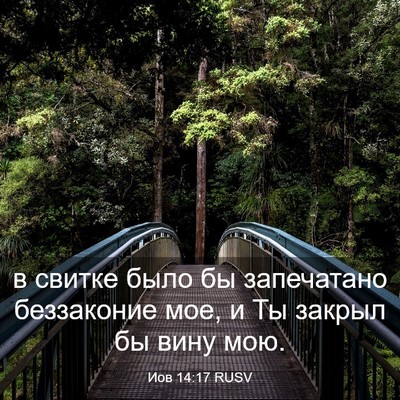 Picture 03 - Иов 14:17 RUSV - в свитке было бы - Bible Verse Picture