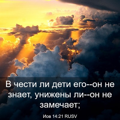 Picture 03 - Иов 14:21 RUSV - В чести ли дети его--он не - Bible Verse Picture