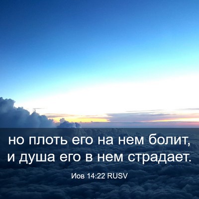 Picture 03 - Иов 14:22 RUSV - но плоть его на нем болит, и - Bible Verse Picture