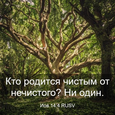 Picture 03 - Иов 14:4 RUSV - Кто родится чистым от - Bible Verse Picture