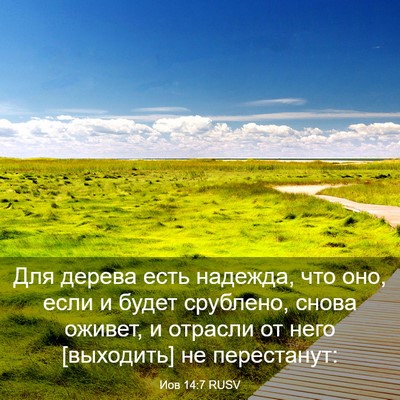 Picture 03 - Иов 14:7 RUSV - Для дерева есть надежда, - Bible Verse Picture