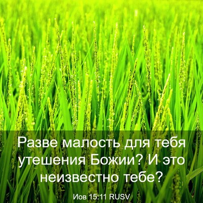 Picture 03 - Иов 15:11 RUSV - Разве малость для тебя - Bible Verse Picture