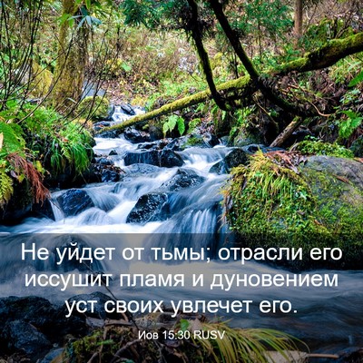 Picture 03 - Иов 15:30 RUSV - Не уйдет от тьмы; отрасли - Bible Verse Picture