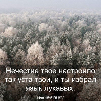 Picture 03 - Иов 15:5 RUSV - Нечестие твое настроило - Bible Verse Picture
