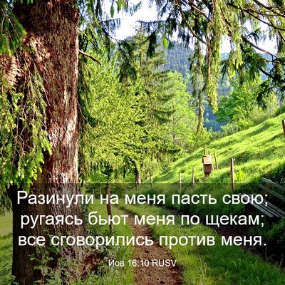 Picture 03 - Иов 16:10 RUSV - Разинули на меня пасть - Bible Verse Picture
