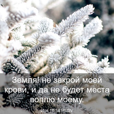 Picture 03 - Иов 16:18 RUSV - Земля! не закрой моей - Bible Verse Picture