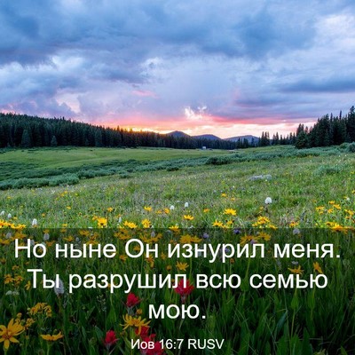 Picture 03 - Иов 16:7 RUSV - Но ныне Он изнурил меня. Ты - Bible Verse Picture