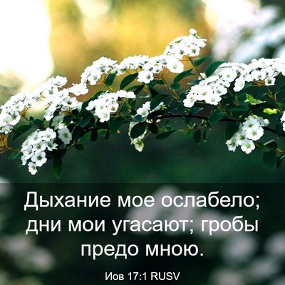 Picture 03 - Иов 17:1 RUSV - Дыхание мое ослабело; дни - Bible Verse Picture